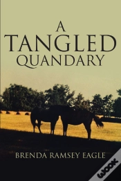 Capa do artigo Tangled Quandary