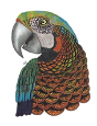 Tangleeasy Lined Journal Parrot - Preview