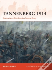 Capa do artigo Tannenberg 1914