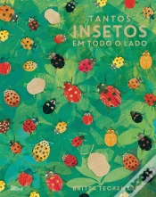 Capa do artigo Tantos Insetos em Todo o Lado