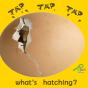 Tap, Tap, Tap... What'S Hatching? - Preview