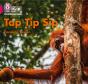 Tap Tip Sip - Preview