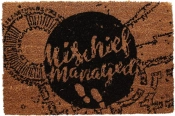 Capa do artigo Doormat - Harry Potter: Mischief Managed