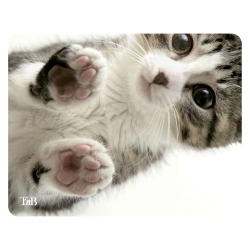 Capa do artigo Tapete De Rato Tnb Gato 22X18Cm Tskitty