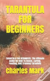 Tarantula For Beginners