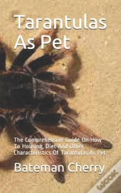 Tarantulas As Pet