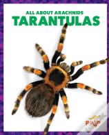 Tarantulas