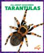 Tarantulas - Preview