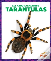 Tarantulas