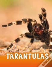 Capa do artigo Tarantulas