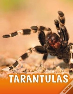Capa do artigo Tarantulas