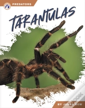 Capa do artigo Tarantulas