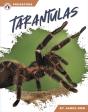 Tarantulas - Preview