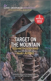 Capa do artigo Target On The Mountain