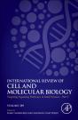 Targeting Signaling Pathways In Solid Tumors Part C - Preview