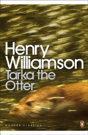 Tarka The Otter - Preview