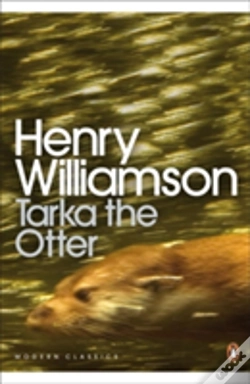 Capa do artigo Tarka The Otter
