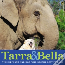 Capa do artigo Tarra & Bella