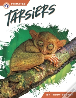 Capa do artigo Tarsiers