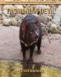 Tasmanian Devil - Preview