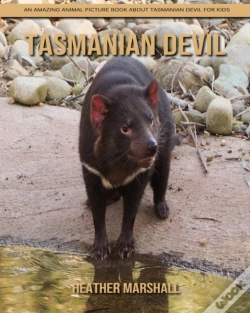 Capa do artigo Tasmanian Devil