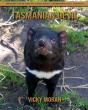 Tasmanian Devil - Preview