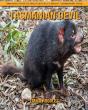 Tasmanian Devil - Preview