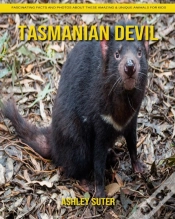 Capa do artigo Tasmanian Devil