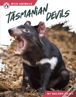 Capa do artigo Tasmanian Devils
