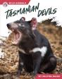 Tasmanian Devils - Preview