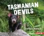 Tasmanian Devils - Preview