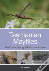 Tasmanian Mayflies