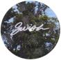 Taste - Vinil - Preview