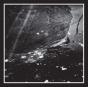 Tav - Vinil - Preview