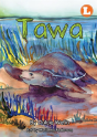 Tawa - Preview