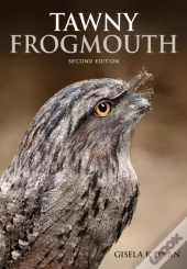 Tawny Frogmouth