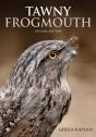 Tawny Frogmouth - Preview