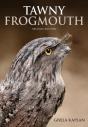 Tawny Frogmouth - Preview