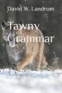 Tawny Grammar - Preview