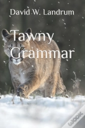 Tawny Grammar