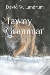 Capa do artigo Tawny Grammar
