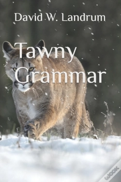 Capa do artigo Tawny Grammar