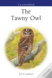 Capa do artigo Tawny Owl