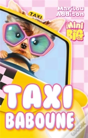 Capa do artigo Taxi Baboune