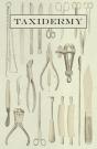 Taxidermy - Preview