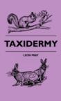 Taxidermy - Preview
