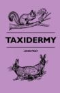 Taxidermy - Preview