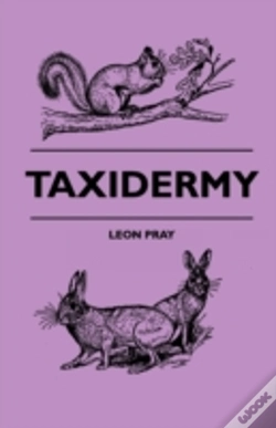 Capa do artigo Taxidermy