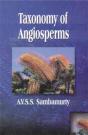 Taxonomy Of Angiosperms - Preview