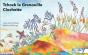 Tchock La Grenouille - Preview